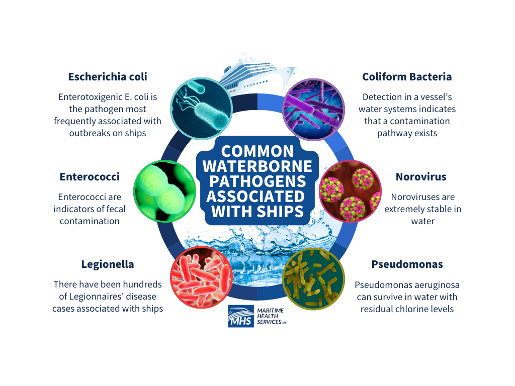 A circular diagram outlining six waterborne pathogens—E. coli, Enterococci, Legionella, Coliform Bacteria, Norovirus, and Pseudomonas—with the words, Common Waterborne Pathogens Associated With Ships