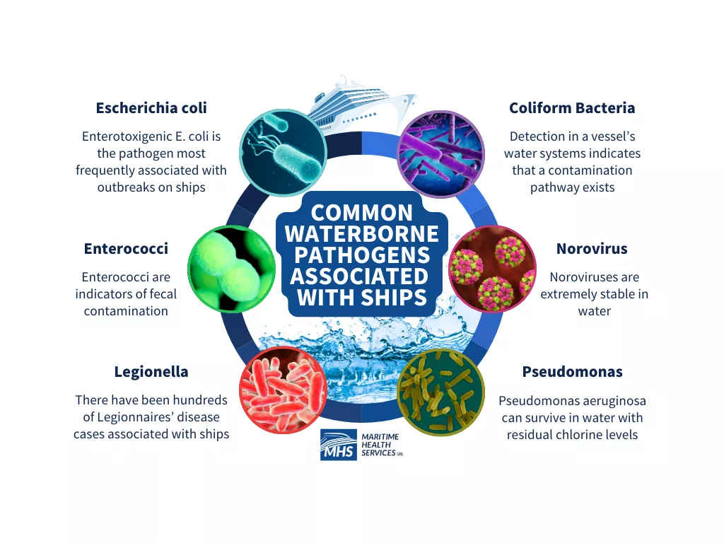 A circular diagram outlining six waterborne pathogens—E. coli, Enterococci, Legionella, Coliform Bacteria, Norovirus, and Pseudomonas—with the words, Common Waterborne Pathogens Associated With Ships