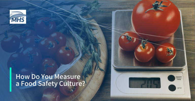 An image featuring several tomatoes on a digital scale, with the words, How Do You Measure a Food Safety Culture?