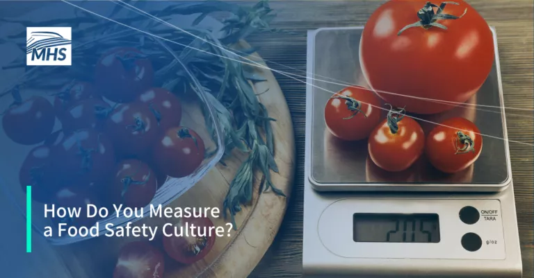 An image featuring several tomatoes on a digital scale, with the words, How Do You Measure a Food Safety Culture?